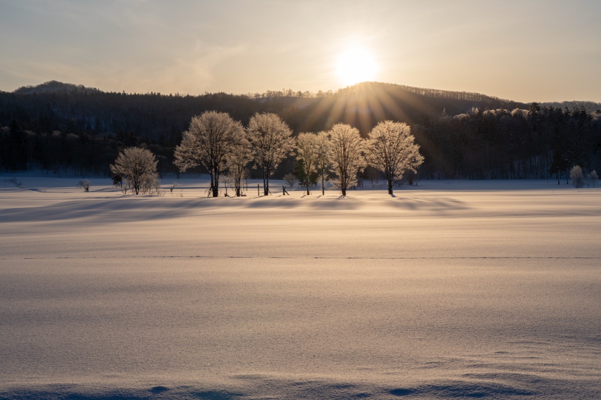 Winter sunset